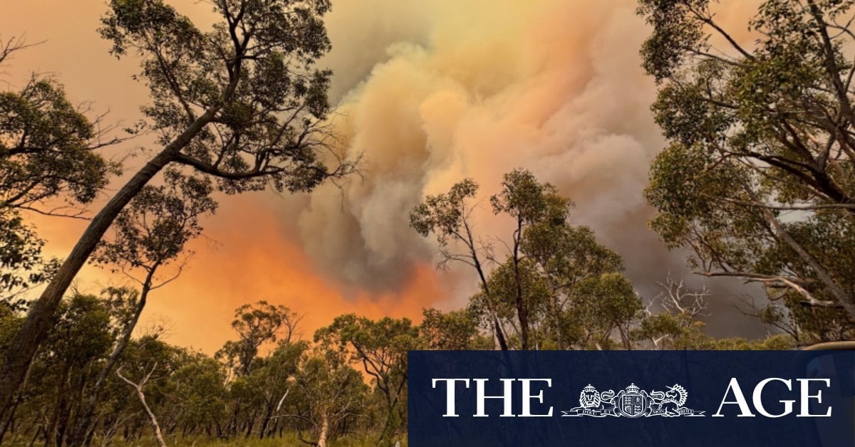 Christmas Eve mercy dash for Halls Gap evacuees as Grampians bushfire bears down