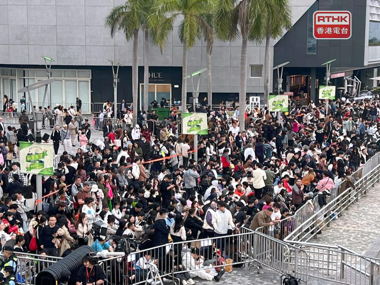 Crowds gather at habourfront for New Year's fireworks