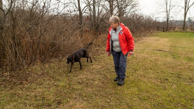 Demand growing for cadaver dogs to assist in searches at former residential schools