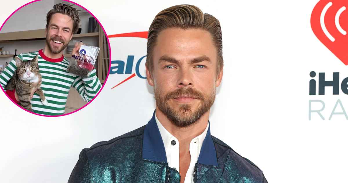 Derek Hough Spent $8,000 on His Cat During Christmas Day Health Scare