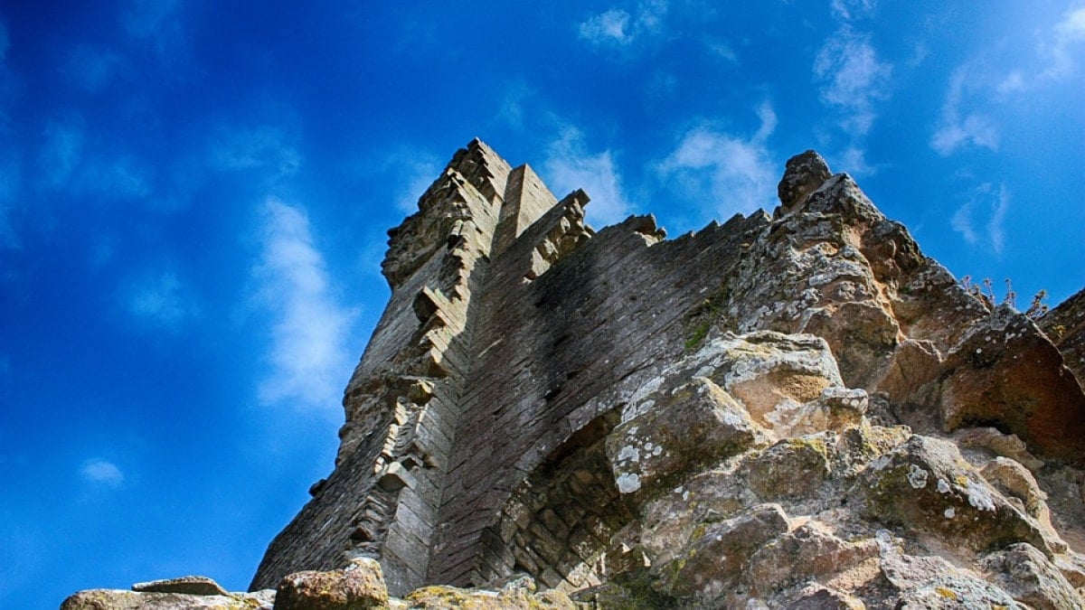 Dorset's Fossil Forest: A Jurassic Landscape Preserved by Microbial Fossilisation