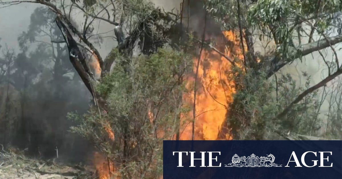 Emergency evacuation warnings issued for several bushfires across Victoria