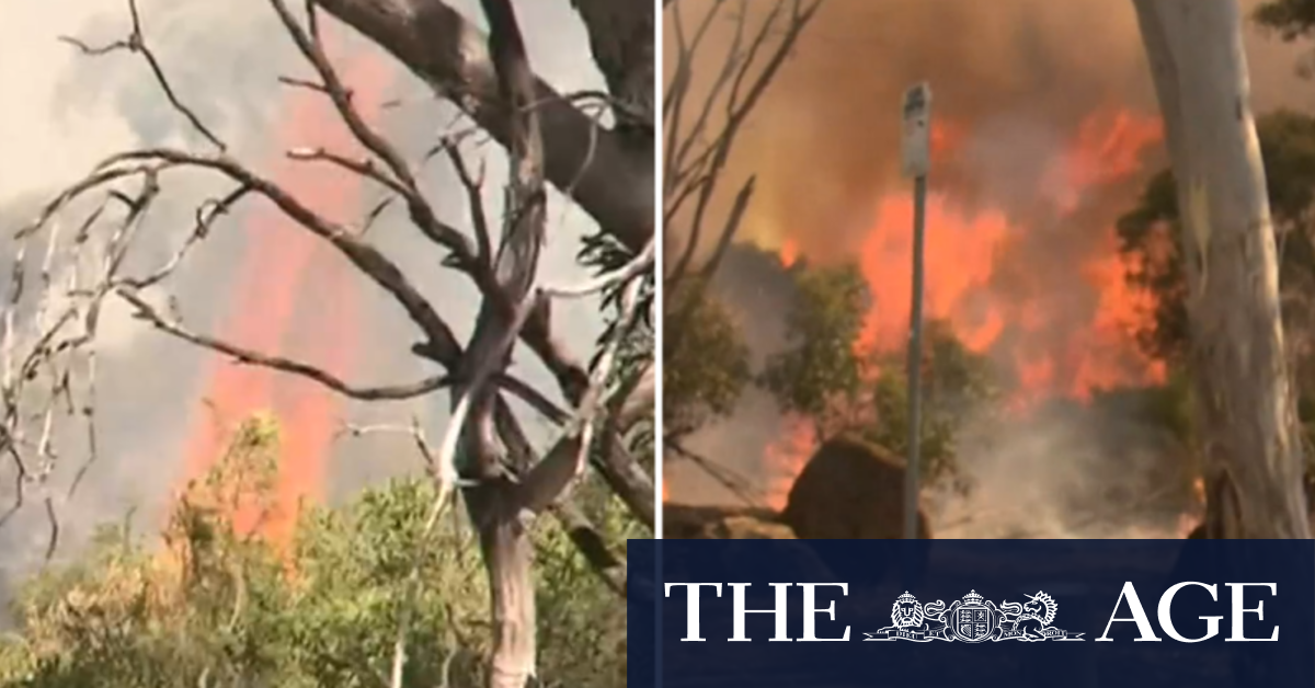 Fears fire south of Adelaide was deliberately lit