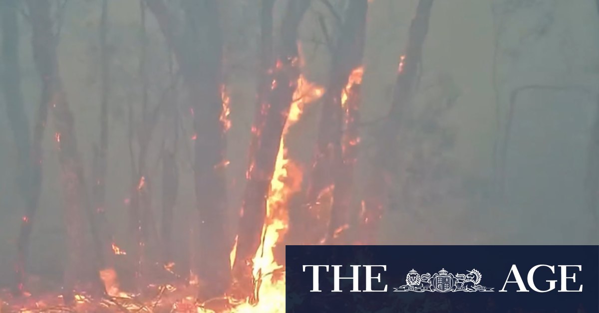 Financial relief promised for bushfire victims in Victoria