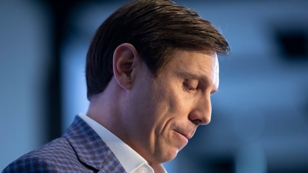 Former Conservative leadership candidate Patrick Brown to testify on Indian interference allegations