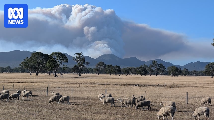 Grampians residents and fire crews brace for extreme conditions on Boxing Day