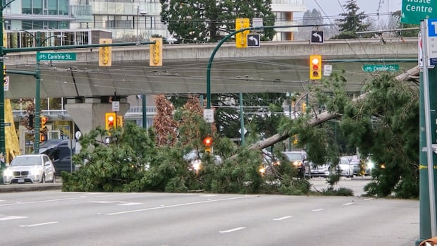 Highways closed, thousands without power as winds batter B.C.'s South Coast