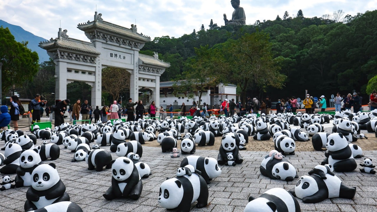 HK$923,700 raised in charity sale of over 1,000 panda sculptures in Hong Kong