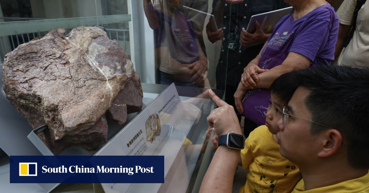 Hong Kong dinosaur fossil show opens on Friday, chance to see experts at work