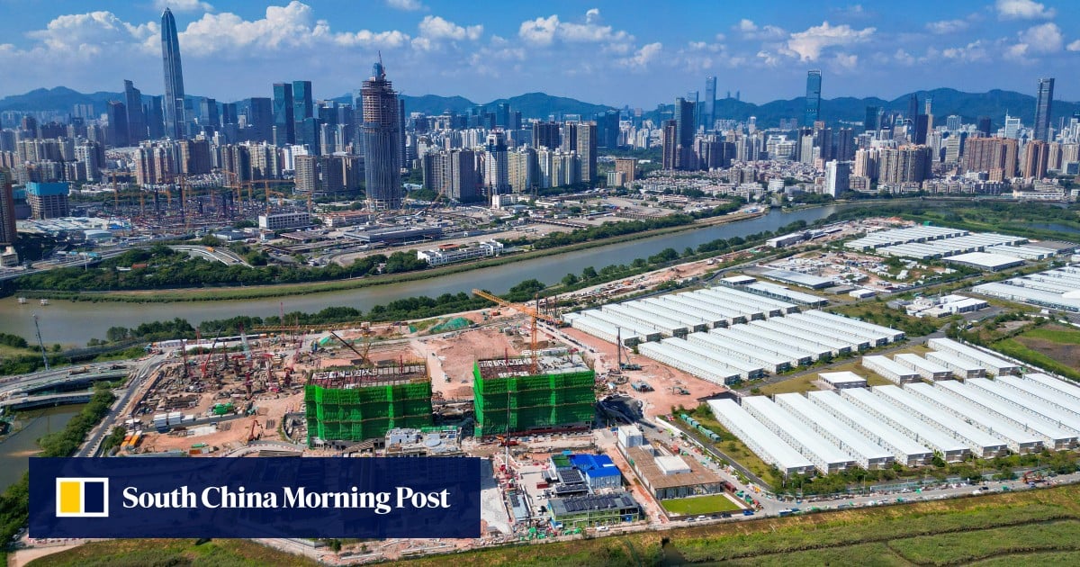 Hong Kong green group warns revised IT hub plan could harm bird flight paths