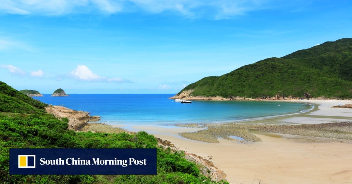 Hong Kong teenager sent to hospital after boar bites his toe on beach camping trip