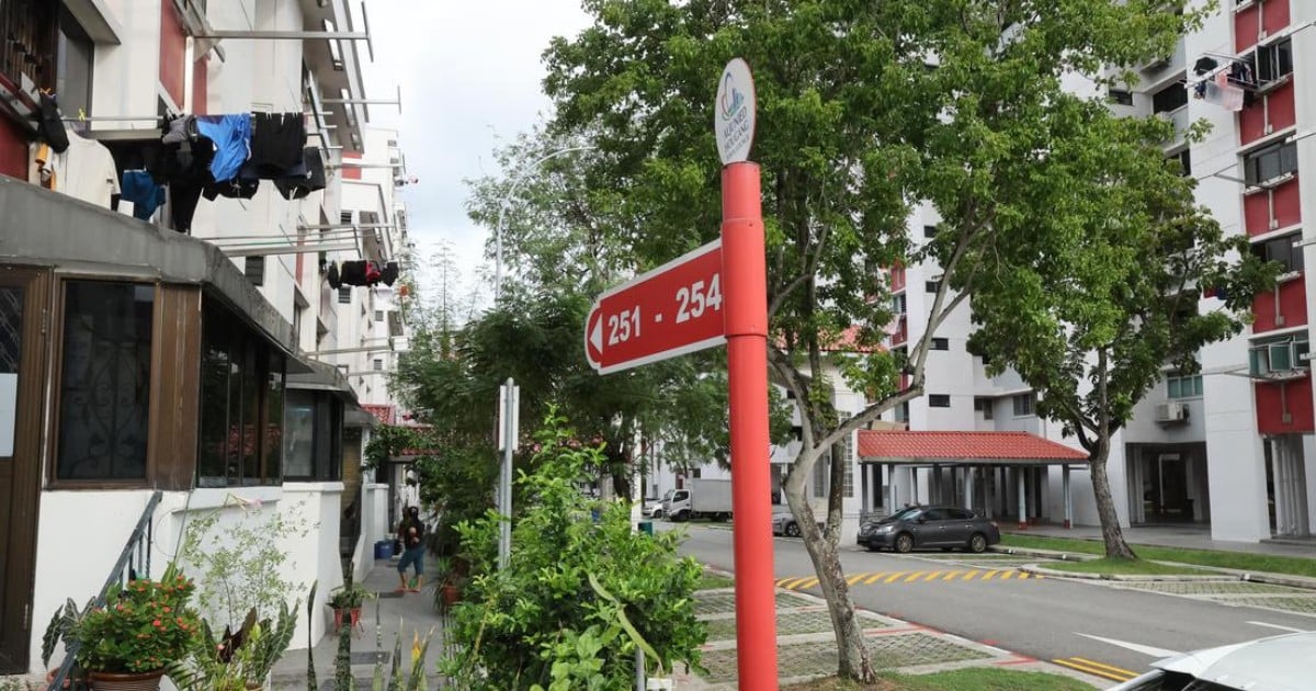 Hougang residents plagued by smell of rat carcasses from drain