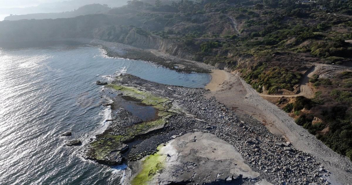 Human legs wash up along upscale shoreline