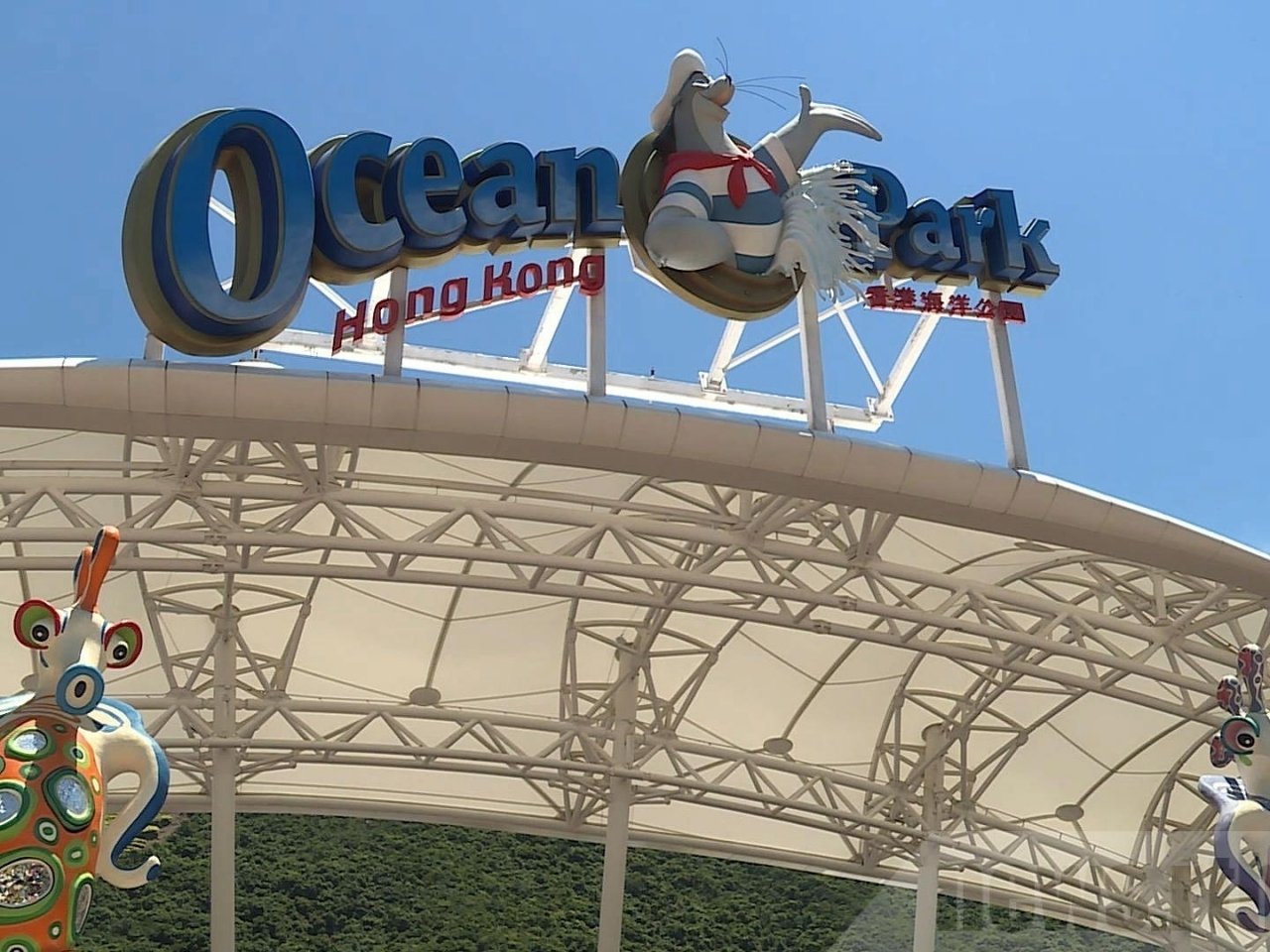 Ideas for Ocean Park to cut costs and raise revenues