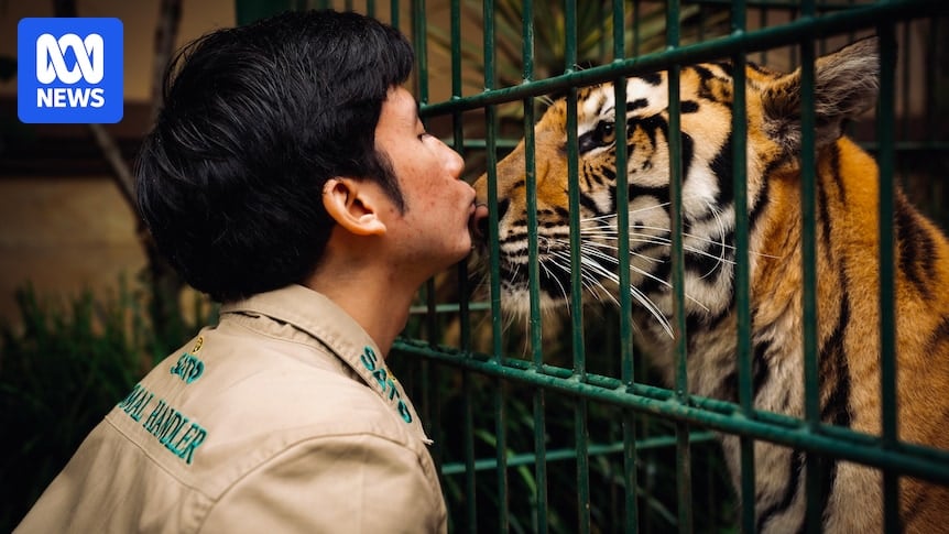 Indonesia's Tiger King Alshad Ahmad filling family garden with wildlife as he works towards building a zoo