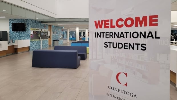 International student permit cuts are pushing away prospective students, experts say