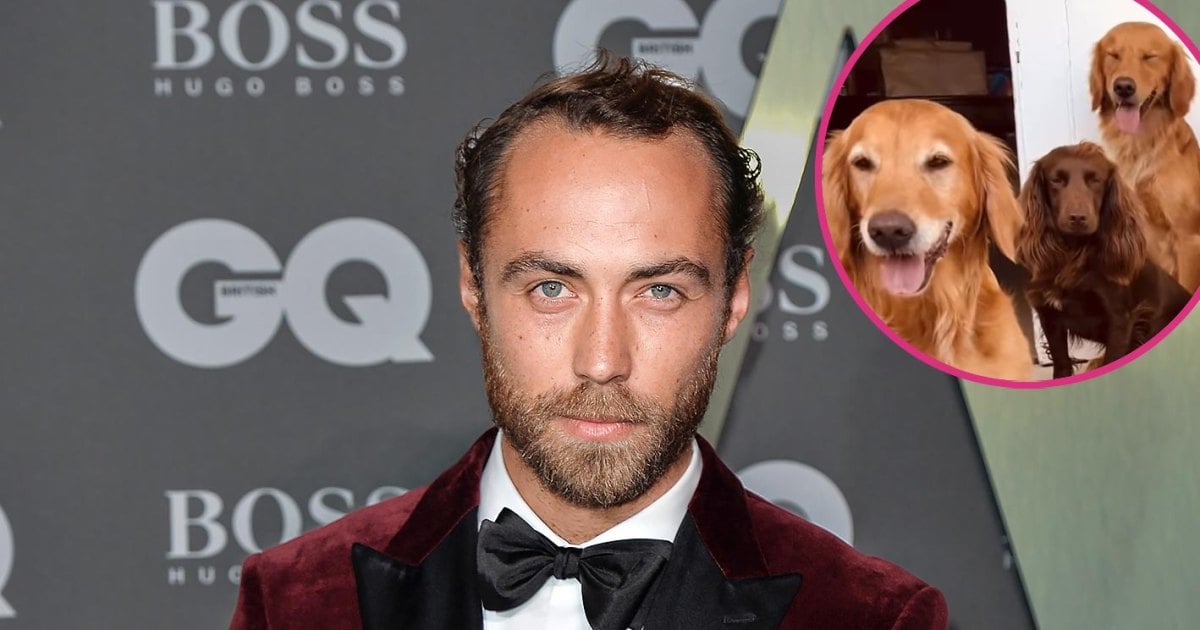 James Middleton Jokes About His Dogs Having More Notoriety Than He Does