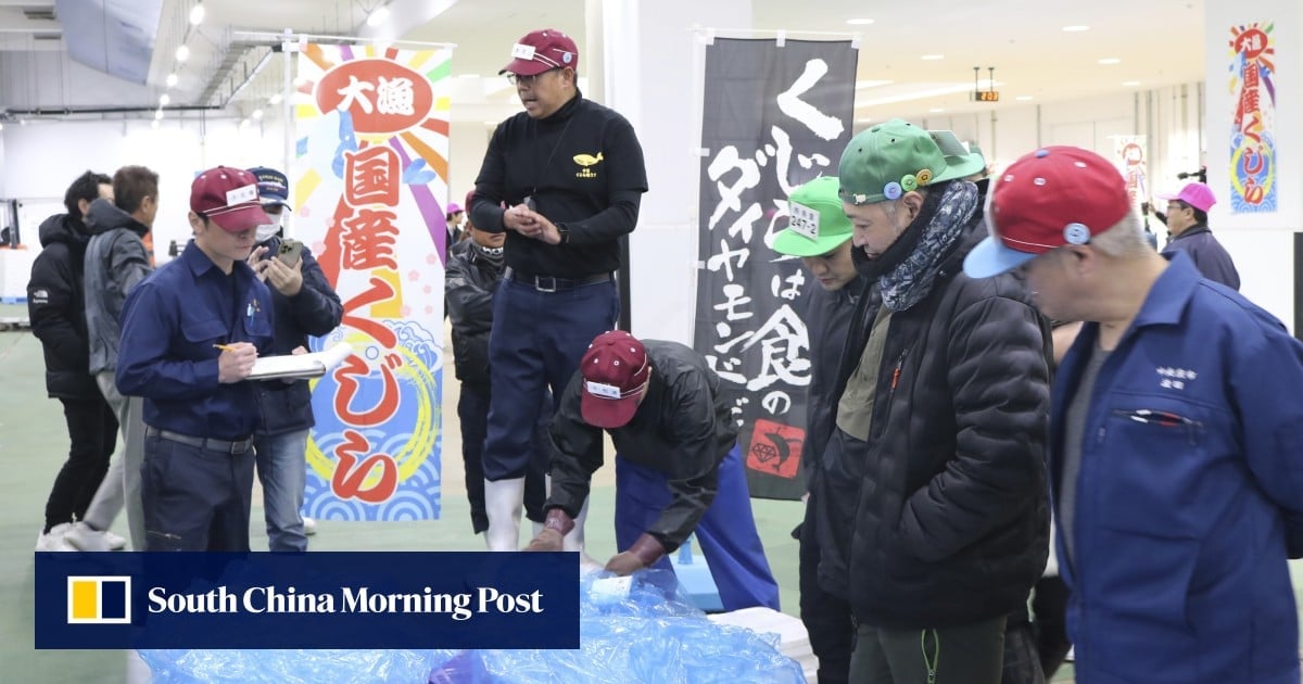 Japan auctions fresh fin whale meat for first time in decades