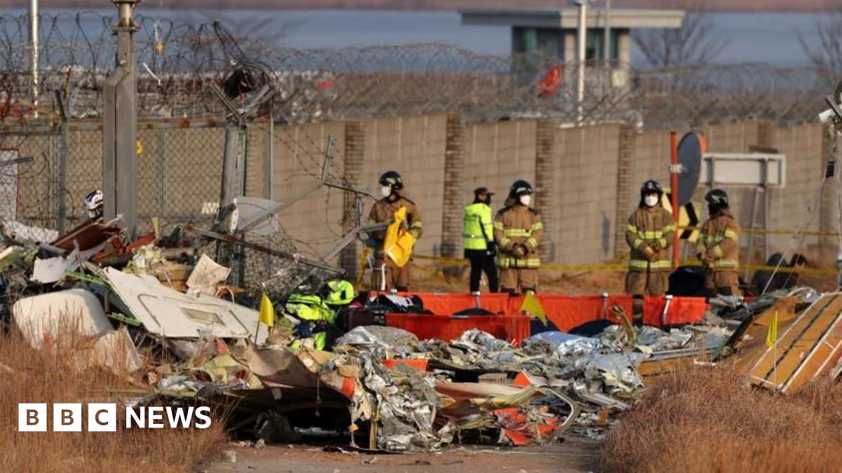 Jeju Air: Did bird strike contribute to South Korea plane crash? What we know