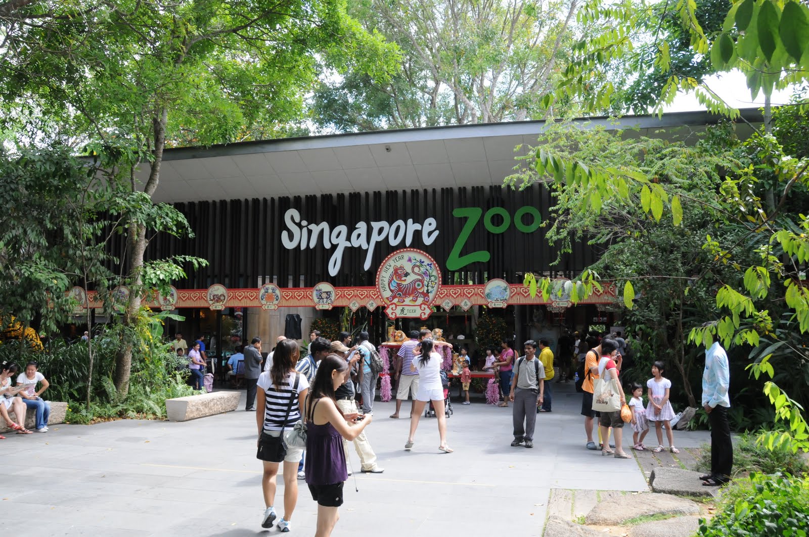 Luxury camping at Singapore Zoo and Lazarus Island fully booked as Singaporeans seek to end the new year amid nature