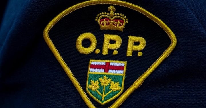 Man arrested for human trafficking linked to Kingston investigation