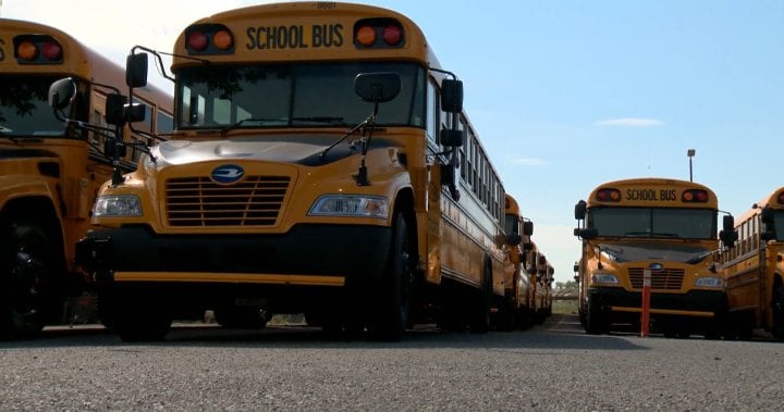 Man charged with stealing school bus, deliberately striking cyclist