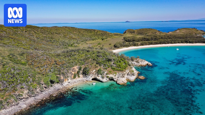 Man in life-threatening condition after shark attack off Central Queensland coast