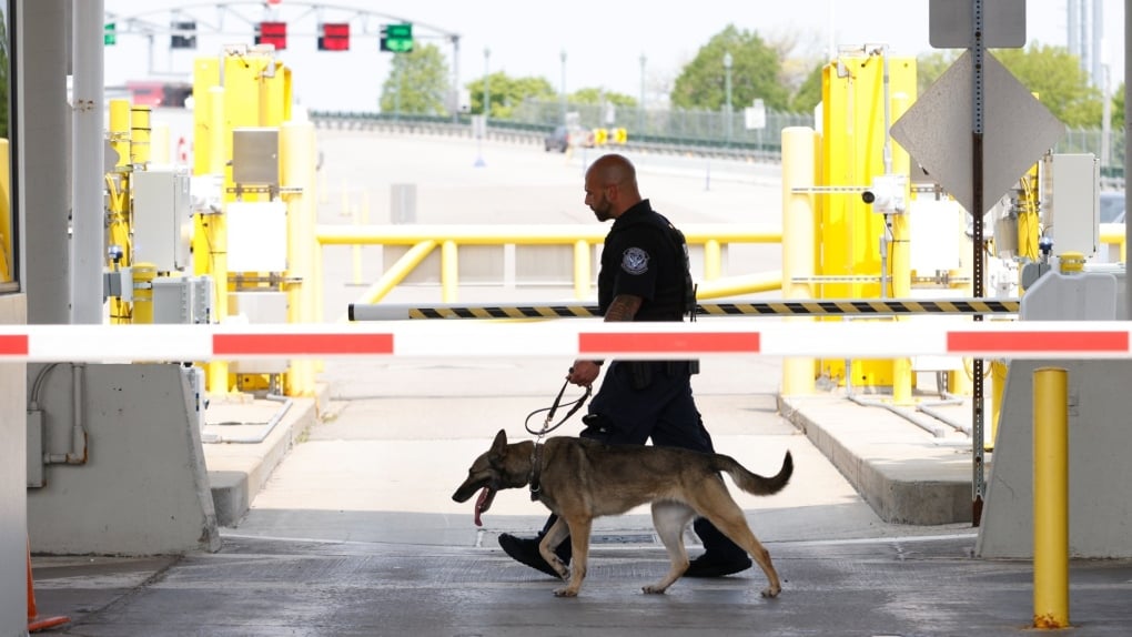 Most Canadians view illegal immigrant border crossings as concern for U.S.: Nanos survey 