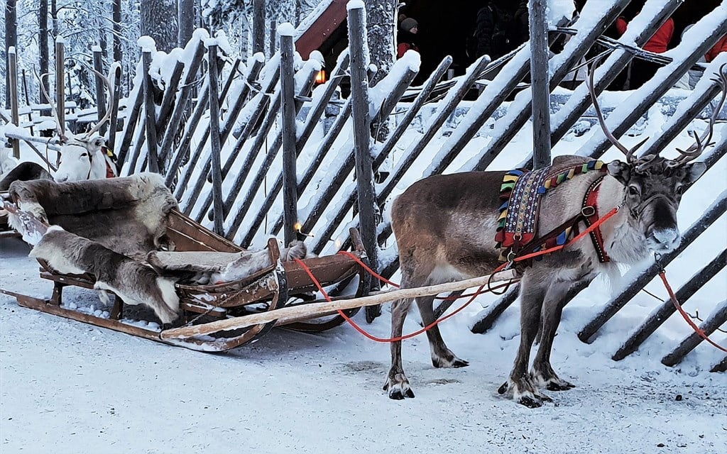 Over 60% in Taiwan misgender Santa's reindeer: Education ministry