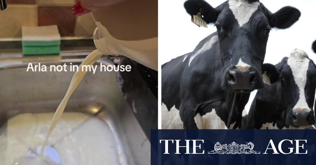 Panic over additive in cattle feed sparks furore over milk and meat