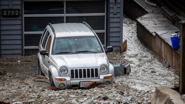 Polls show waning interest in climate change among B.C. voters