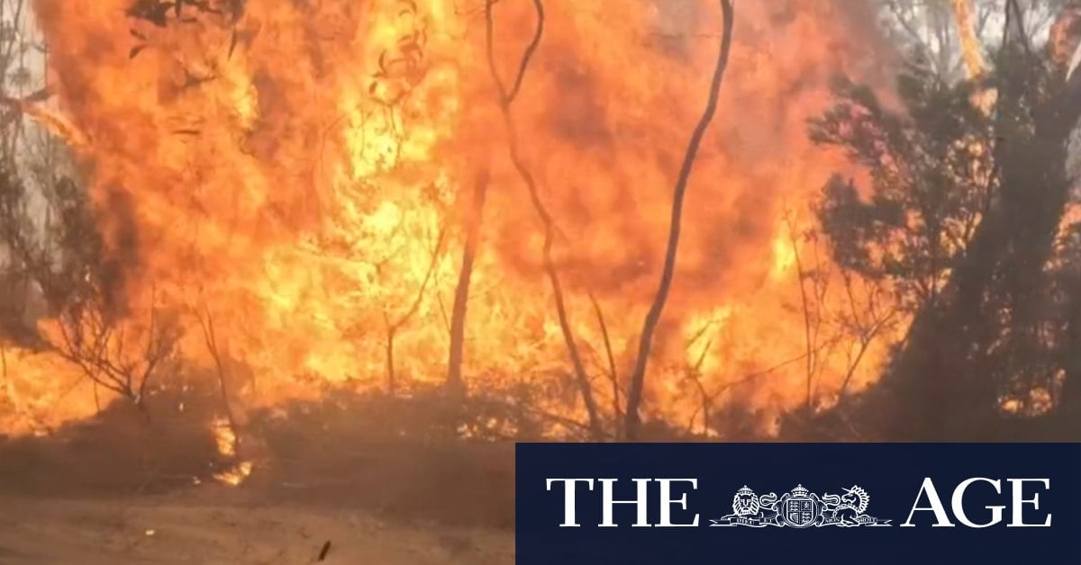 Pub owner bracing for significant financial loss amid Grampians National Park bushfire