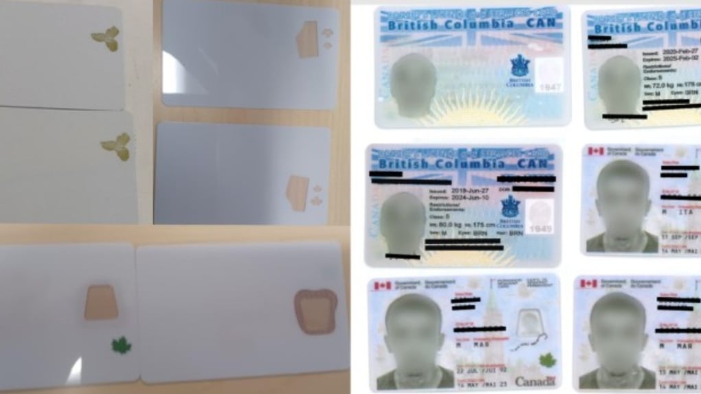 Quebec man gets prison sentence after trying to smuggle fake permanent residence cards, licences