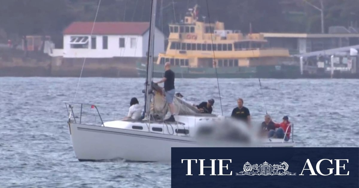 Racing yachts caught in fatal crash on Sydney Harbour  