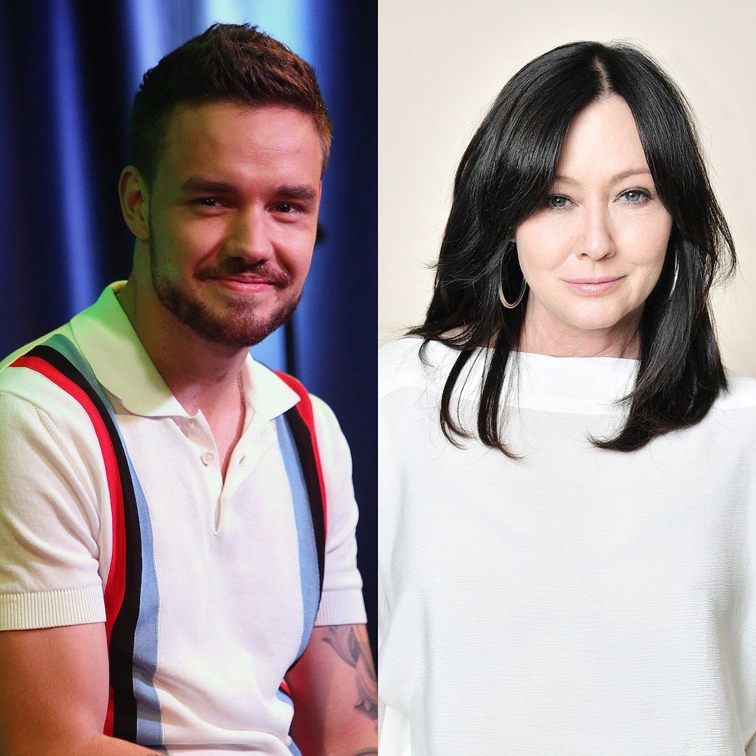  Remembering Liam Payne, Shannen Doherty & More Stars Fans Lost in 2024 