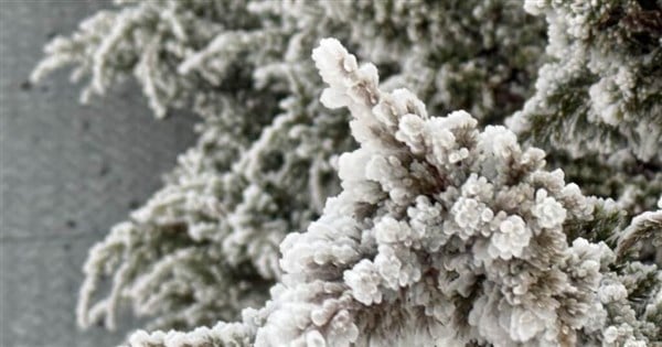 Rime ice, snow pellets cover Taiwan's tallest peaks