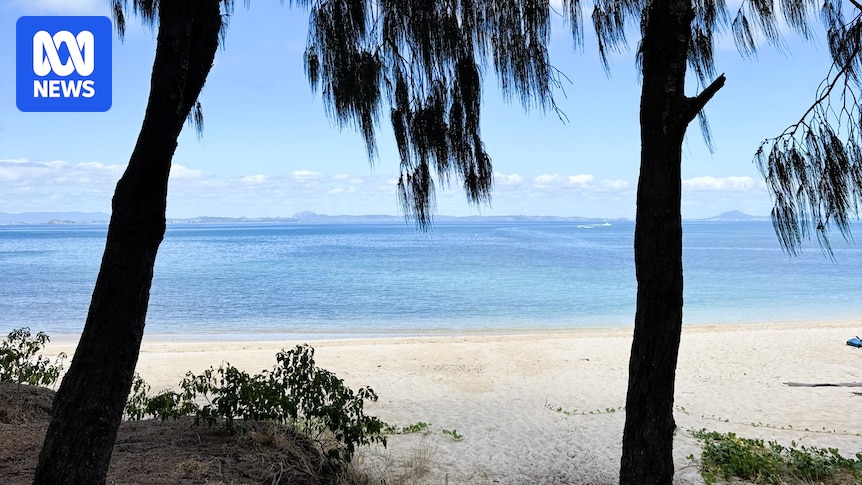 School chaplain Luke Walford killed in shark attack at Humpy Island