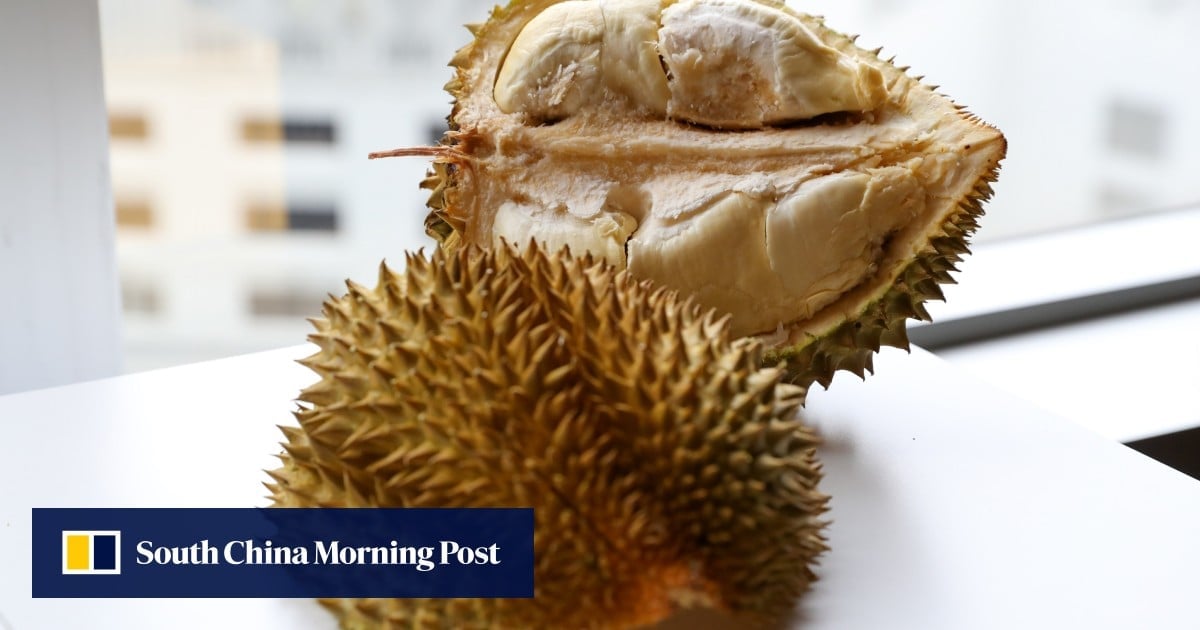 Scientists find key nutrient missing in China-grown durian