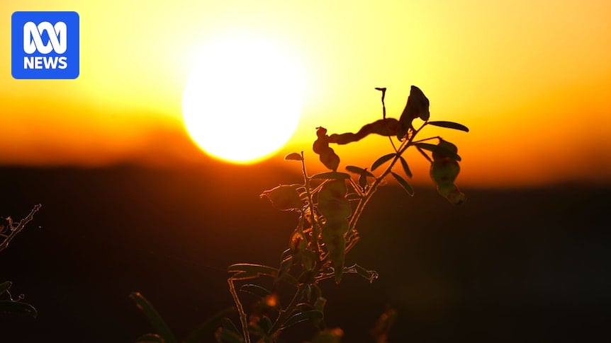 Several NSW towns expected to break record temperatures as heatwave hits