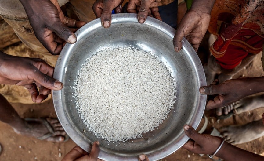 Tackling Hunger in 2024 - Stories You May Have Missed