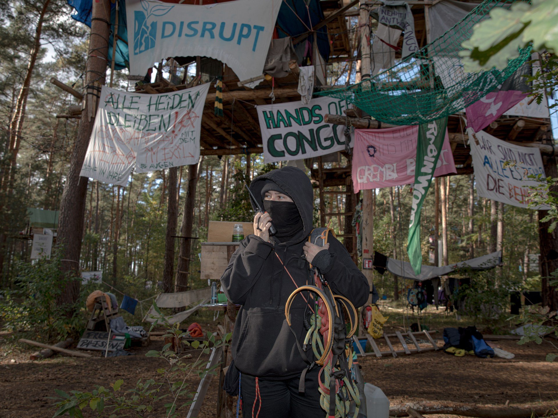 The desperate last stand to save a forest from Tesla