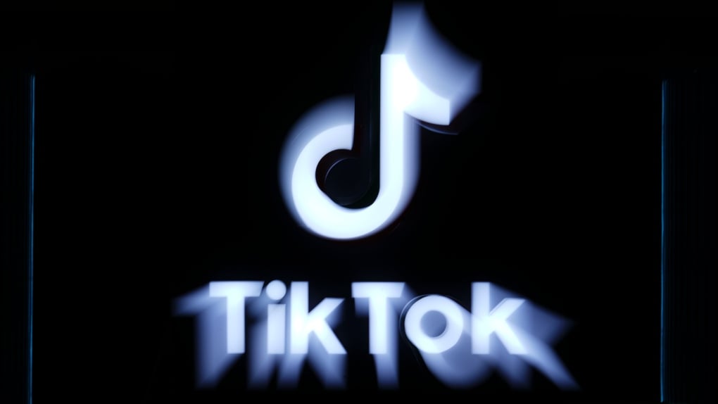 TikTok files legal challenge of federal government's shutdown order