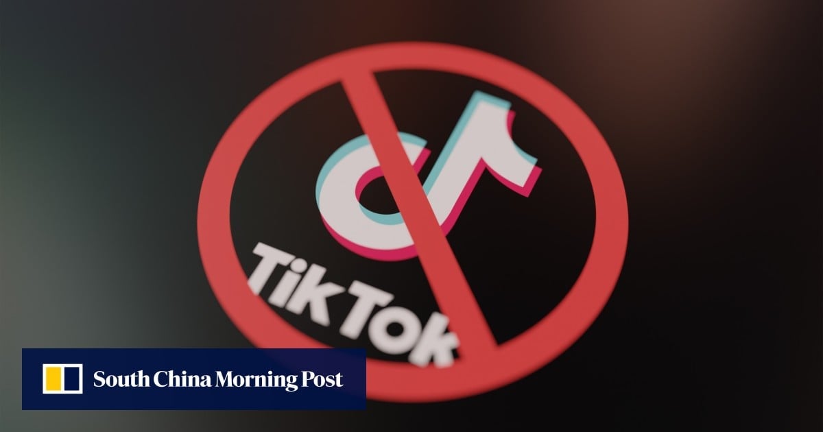 TikTok makes emergency appeal to US Supreme Court to halt divest-or-ban law, pending review