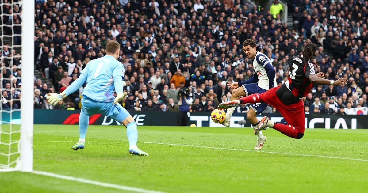 Tottenham player ratings vs Fulham: 7/10 trio shine but weak link exposed in draw