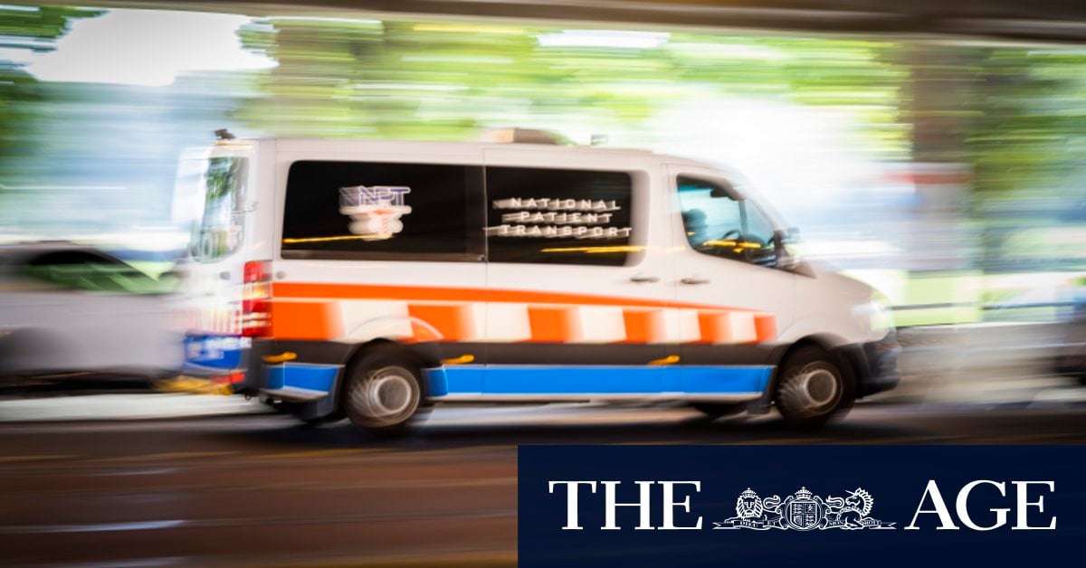 Two injured as large tree branch falls near Shrine of Remembrance