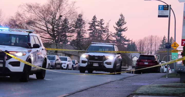 Two teens hospitalized in early morning Aldergrove stabbings