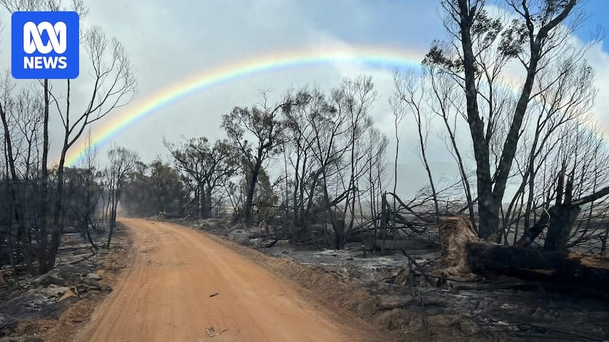 Victorian residents allowed home as bushfire threat reduces and authorities assess fire damage