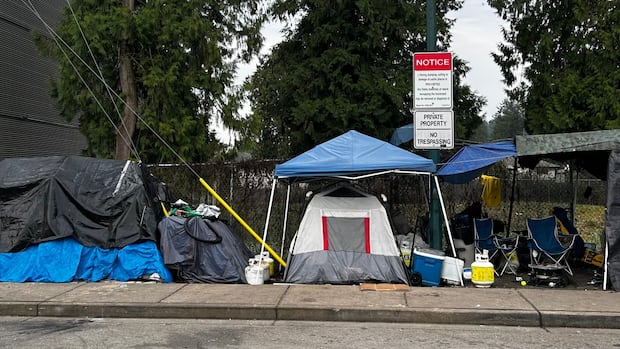 Why B.C. cities struggle to respond to the ongoing tent encampment problem