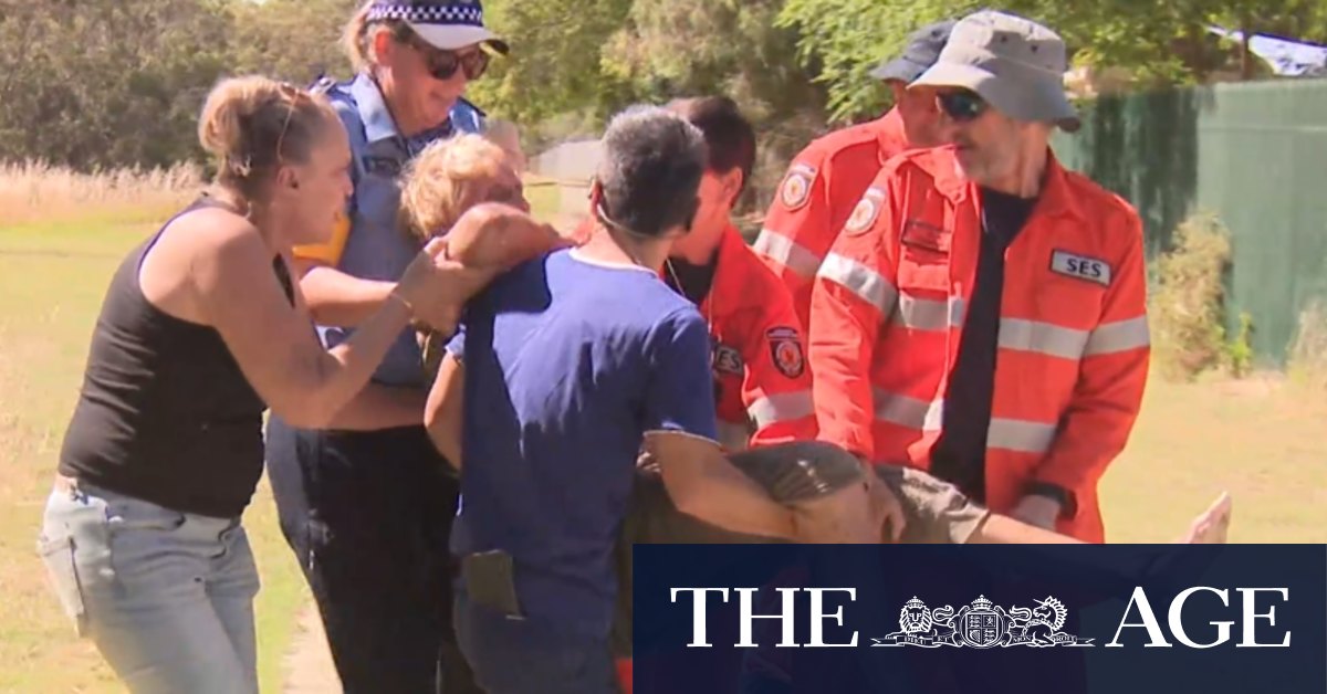 Woman missing for days pulled form WA creek alive