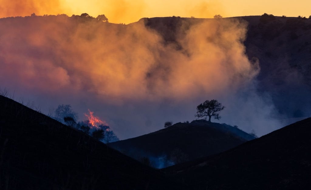 What We Know About the Suspected Arson Arrest Made Near the Kenneth Fire in L.A.